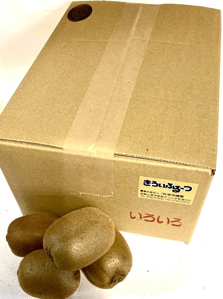 【ふるさと納税】紀州かつらぎ山のキウイフルーツ約3kg［2026年1月中旬以降発送予定］［UT29］ | フルーツ 果物 くだもの 食品 人気 おすすめ 送料無料 サムネイル3