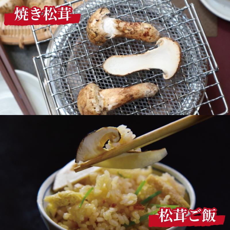 【ふるさと納税】先行予約 国産松茸 約500g 数量限定 香り高く希少【和歌山県高野町産】【2026年9月下旬～11月上旬頃発送予定】 | 天然 高級 お取り寄せ 数量限定 期間限定 高野町 和歌山 楽天ふるさと 納税 返礼品 国産松茸 マツタケ きのこ キノコ 茸 秋の味覚 土瓶蒸し - 画像2