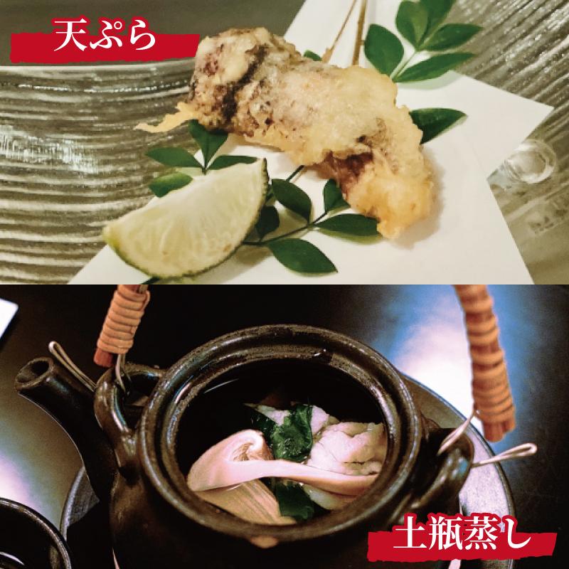 【ふるさと納税】先行予約 国産松茸 約500g 数量限定 香り高く希少【和歌山県高野町産】【2026年9月下旬～11月上旬頃発送予定】 | 天然 高級 お取り寄せ 数量限定 期間限定 高野町 和歌山 楽天ふるさと 納税 返礼品 国産松茸 マツタケ きのこ キノコ 茸 秋の味覚 土瓶蒸し - 画像3