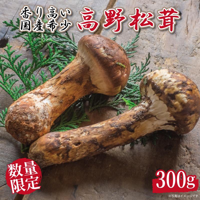先行予約 国産松茸 約300g 数量限定 香り高く希少【和歌山県高野町産】【2026年9月下旬～11月上旬頃発送予定】 | 天然 高級 お取り寄せ 数量限定 期間限定 和歌山県 高野町 和歌山 楽天ふるさと 納税 返礼品 国産松茸 マツタケ 生松茸 茸 秋の味覚 茸