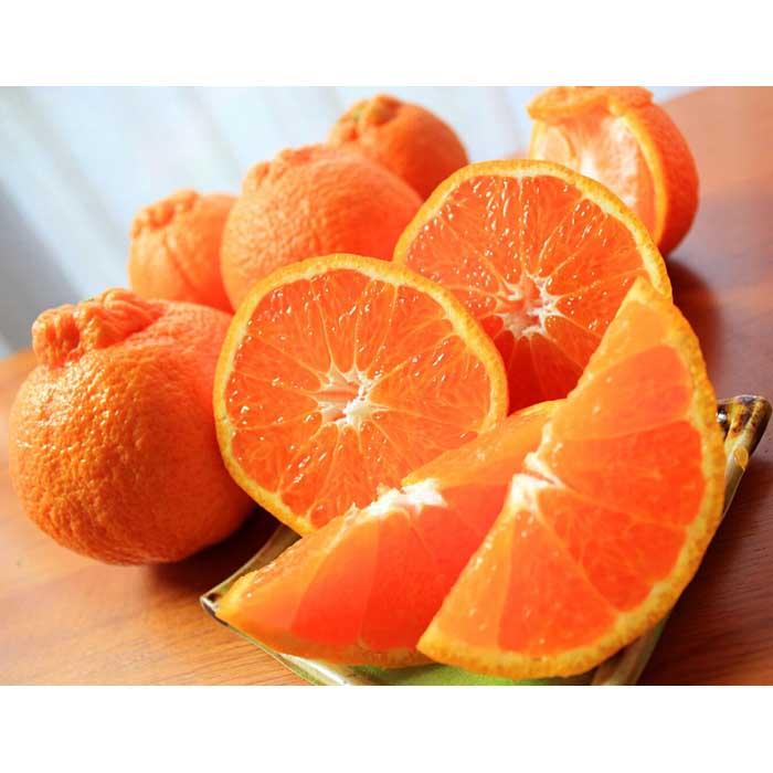 【ふるさと納税】紀州有田産不知火(しらぬひ) 約5kg［2026年2月中旬以降発送］［先行予約］［UT40］ サムネイル2