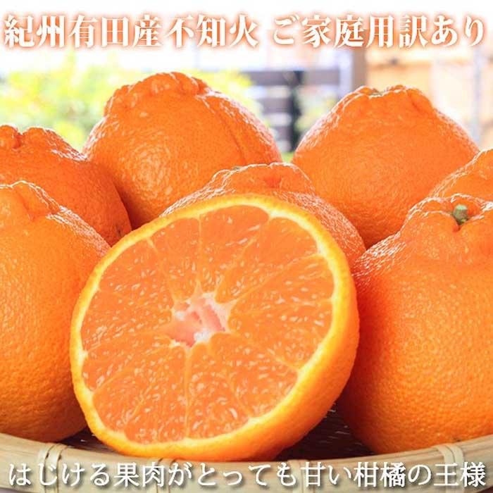 ［ご家庭用訳有り］紀州有田産不知火(しらぬひ) 約8.5kg［2026年2月中旬以降発送］［先行予約］［UT41］