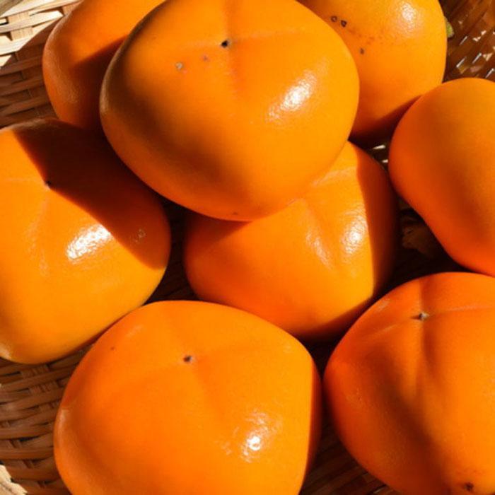 【ふるさと納税】［秋の味覚］和歌山産たねなし柿2L～4Lサイズ 約2kg（化粧箱入り）★2026年9月中旬頃より順次発送［TM39］ サムネイル2