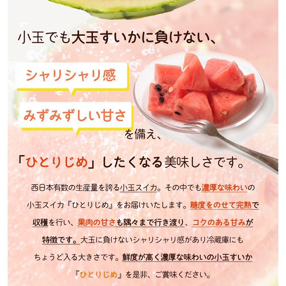 【ふるさと納税】紀州和歌山産 小玉スイカ「ひとりじめ」 1玉【2026年6月中旬頃～2026年7月上旬頃に順次発送】【UT85】 | フルーツ 果物 くだもの 食品 人気 おすすめ 送料無料 サムネイル3
