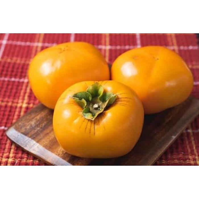 【ふるさと納税】生渋柿たね無 あんぽ柿用T軸枝無約1.5～2kg　6～12玉＜2026年10月中旬～11月上旬ごろ順次発送＞【ART14】 | フルーツ 果物 くだもの 食品 人気 おすすめ 送料無料 サムネイル3