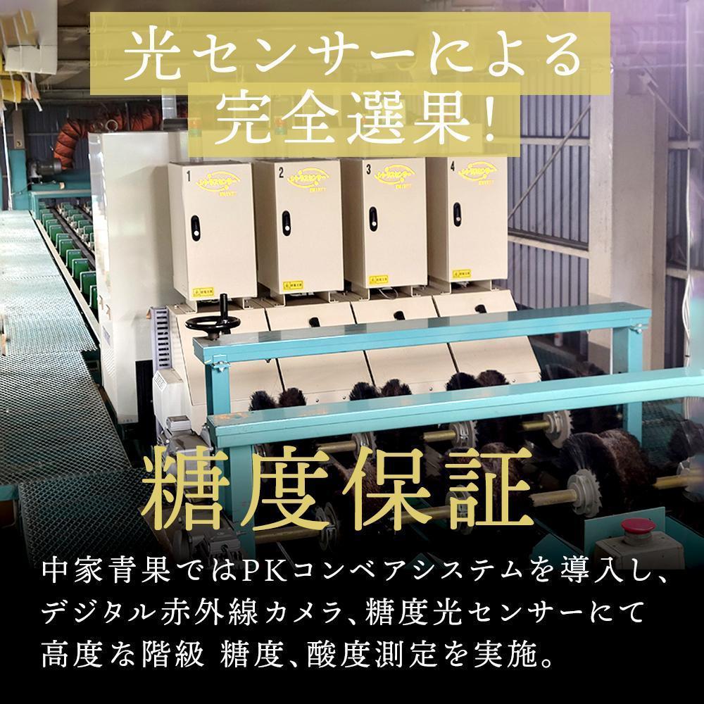 【ふるさと納税】和歌山県産 糖度 12.5度以上 訳あり みかん 3kg または 5kg 3S～Lサイズ混合 | みかん 訳あり 和歌山 和歌山県産 糖度 12.5 甘い 痛み補償 家庭用 小玉 サイズ おまかせ 混合 高野町 高野山 特産品 お取り寄せ フルーツ 果物 柑橘 サムネイル3