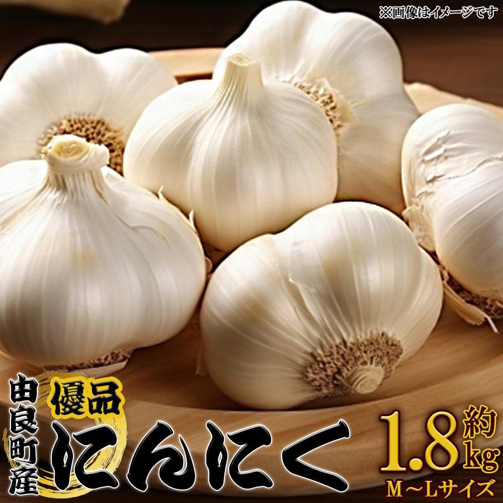 由良町産にんにく 優品 約1.8kg(900g×2／M～Lサイズ)【SL18】 | 菜 やさい 食品 人気 おすすめ 送料無料