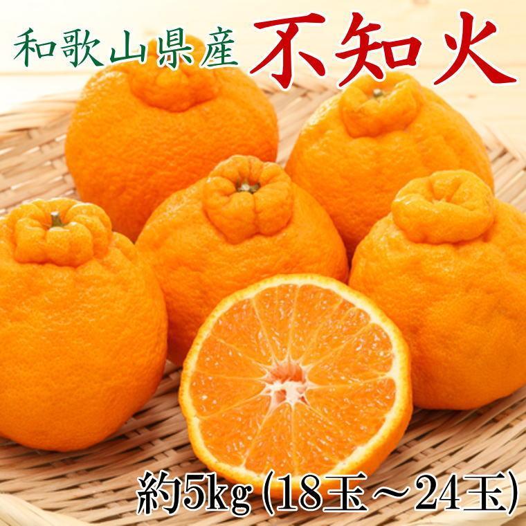 和歌山県産不知火約5kg（18玉～24玉おまかせ）L～3Lサイズ★2026年2月下旬頃より順次発送［TM159］ | フルーツ 果物 くだもの 食品 人気 おすすめ 送料無料