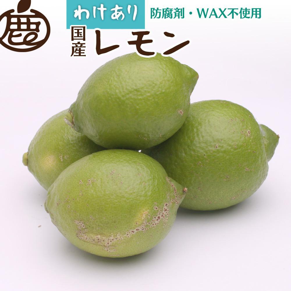 家庭用 レモン5kg+250g（傷み補償分）【和歌山有田産】【防腐剤・WAX不使用、安心の国産レモン】【わけあり・訳ありレモン】［IKE126］ | フルーツ 果物 くだもの 食品 人気 おすすめ 送料無料