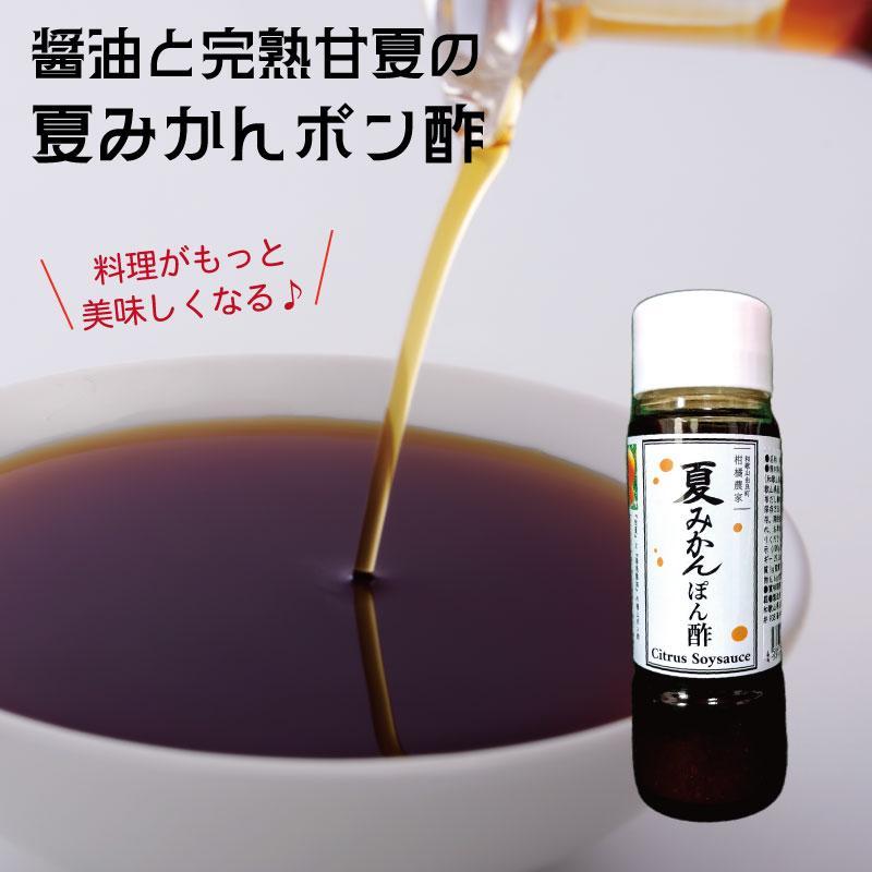 湯浅の醤油の深いコクと完熟甘夏の自然な酸味「夏みかんポン酢」【16本】 | 和歌山 和歌山県産 高野町 みかん 柑橘 ポン酢 ぽん酢 酢 調味料 鍋 贈り物 楽天ふるさと納税 ギフト
