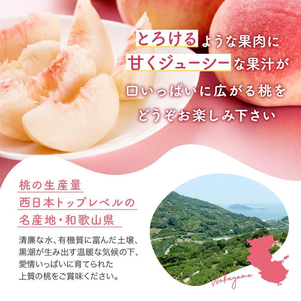 【ふるさと納税】【産直・人気の特産品】和歌山の桃　約700g／1.5kg／2kg／4kg・秀選品★2026年6月下旬～8月中旬頃順次発送★ | もも 桃 フルーツ 和歌山 果物 先行予約 期間限定 2kg 少量 食べきり 秀 贈り物 プレゼント 人気 おすすめ 産地直送 和歌山県 高野町 高野山 サムネイル2