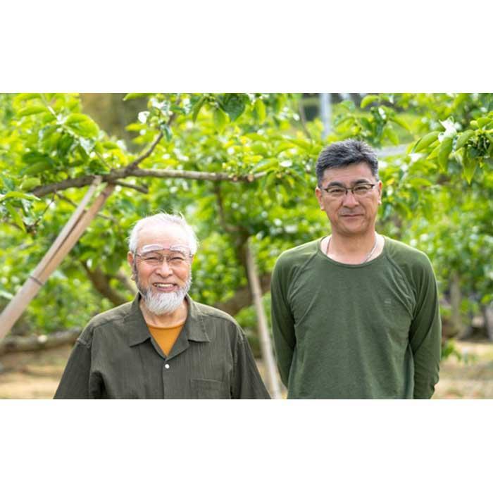 【ふるさと納税】［梅干・梅酒用］（LまたはM－10Kg）熟南高梅＜2026年6月上旬～7月7日発送予定＞フルーツ 果物 くだもの 食品 人気 おすすめ 送料無料［ART08］ サムネイル2