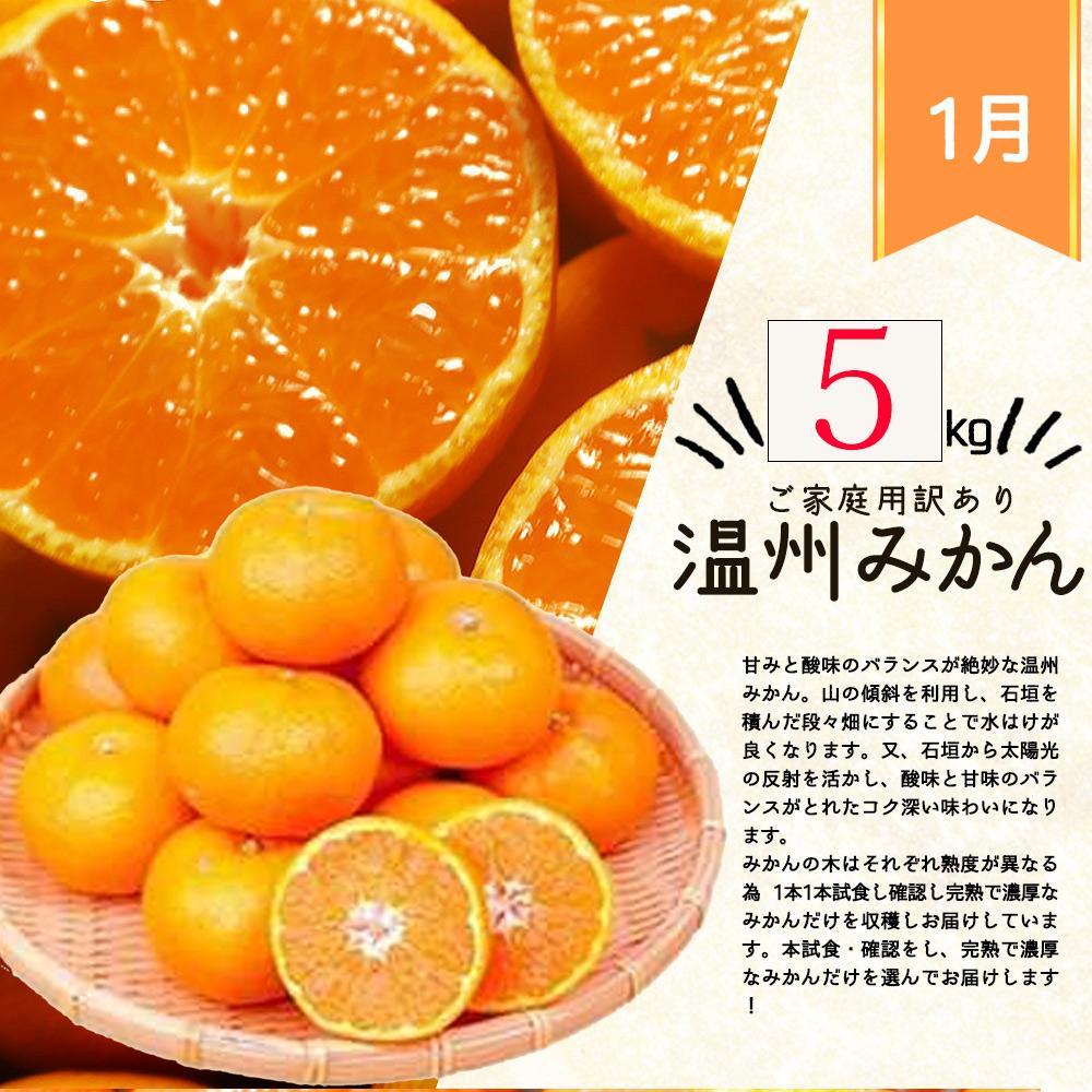 【ふるさと納税】【1・2・3月 全3回 定期便】紀州和歌山産旬のご家庭用柑橘セット(みかん・不知火・清見)【UT129】 | フルーツ 果物 くだもの 食品 人気 おすすめ 送料無料 サムネイル2