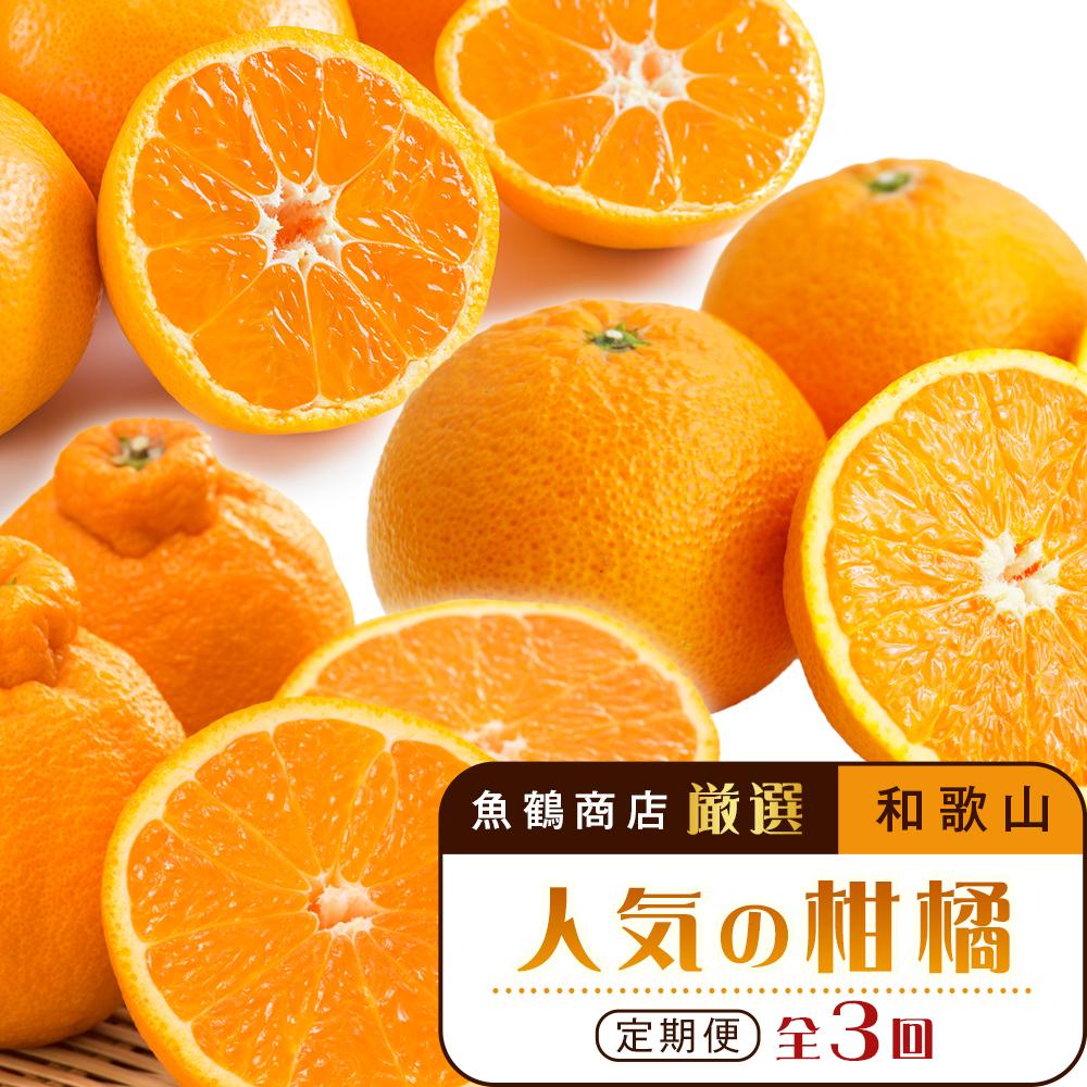 【魚鶴商店厳選】和歌山人気の柑橘定期便（有田みかん・不知火・清見オレンジ）【定期便全3回】【UT116】