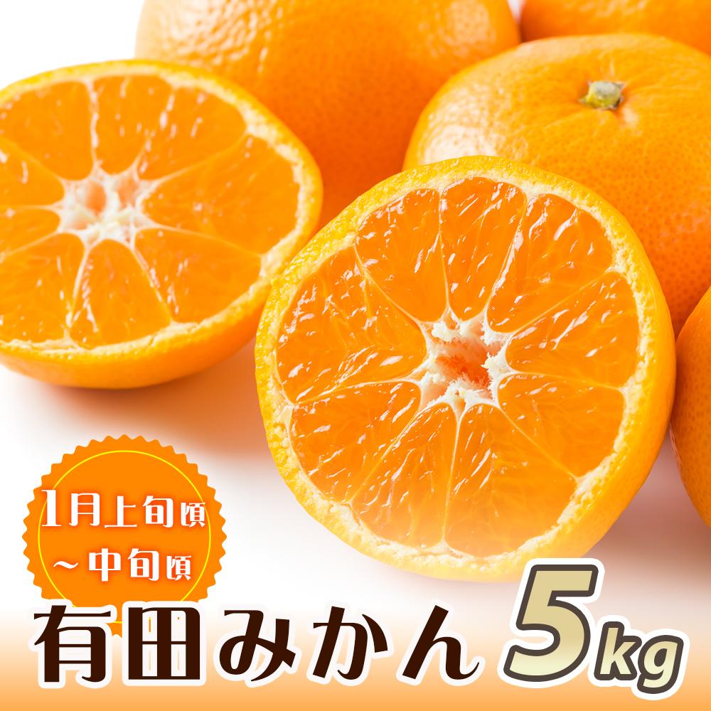 【ふるさと納税】【魚鶴商店厳選】和歌山人気の柑橘定期便（有田みかん・不知火・清見オレンジ）【定期便全3回】【UT116】 サムネイル2