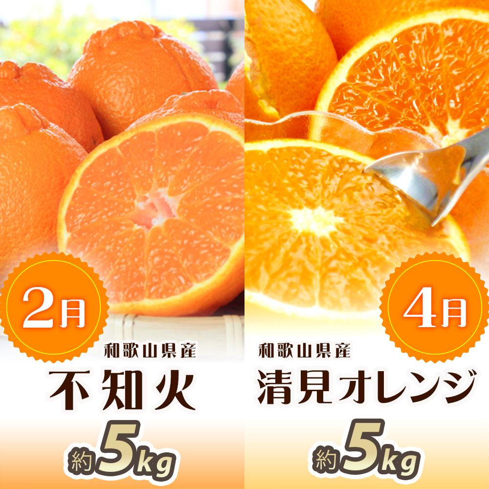 【ふるさと納税】【2・4・6・8・10・12月 偶数月発送 全6回】和歌山産 旬のフルーツ お楽しみ 定期便 【魚鶴商店】【UT113】 | フルーツ 果物 くだもの 食品 人気 おすすめ 送料無料 サムネイル2