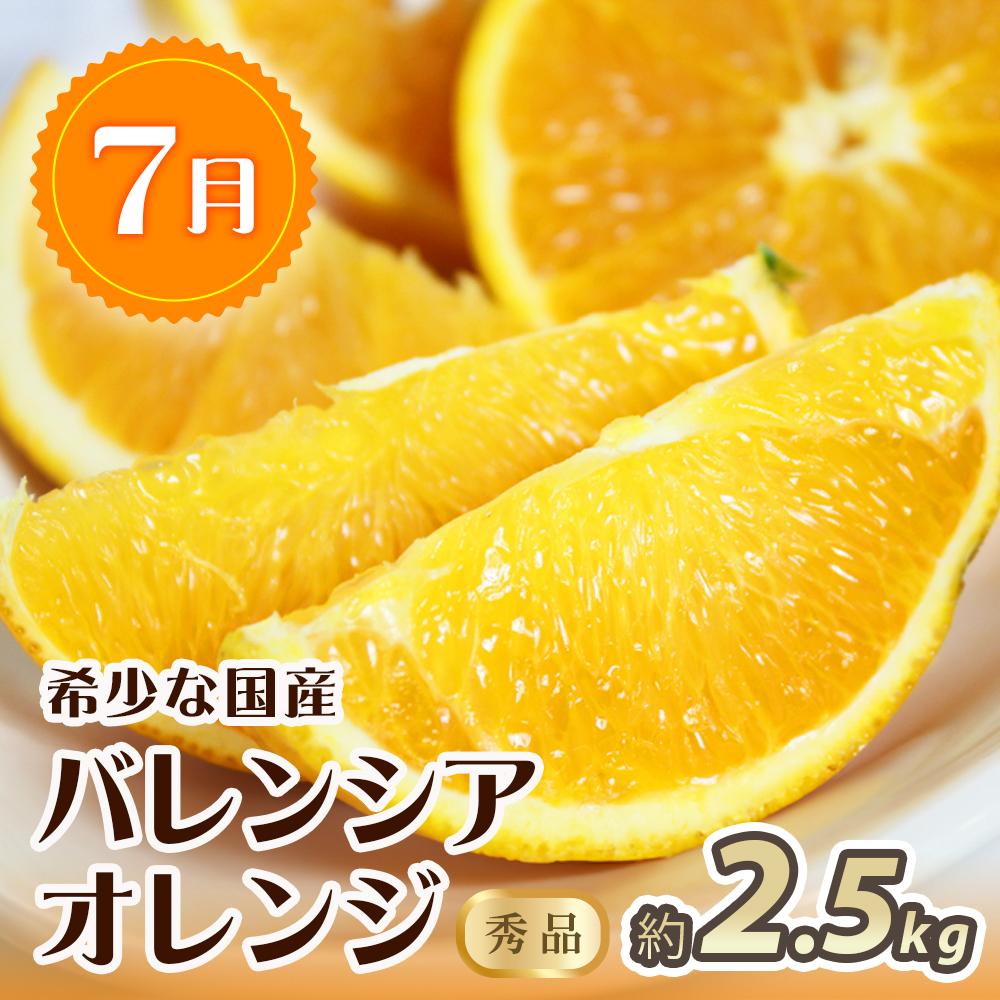 【ふるさと納税】【7・8・10・11月 全4回】紀州和歌山産旬のフルーツセット（バレンシア・桃・ひらたねなし柿・富有柿）【UT81】 | フルーツ 果物 くだもの 食品 人気 おすすめ 送料無料 サムネイル2