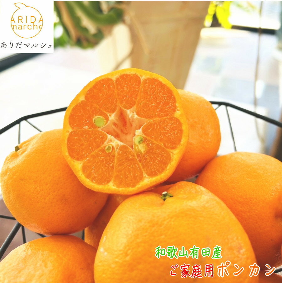 【選べる内容量】有田育ちの 完熟 ポンカン（ご家庭用）約2kg～10kg［先行予約］ | フルーツ 果物 くだもの 食品 人気 おすすめ 送料無料 農家直送