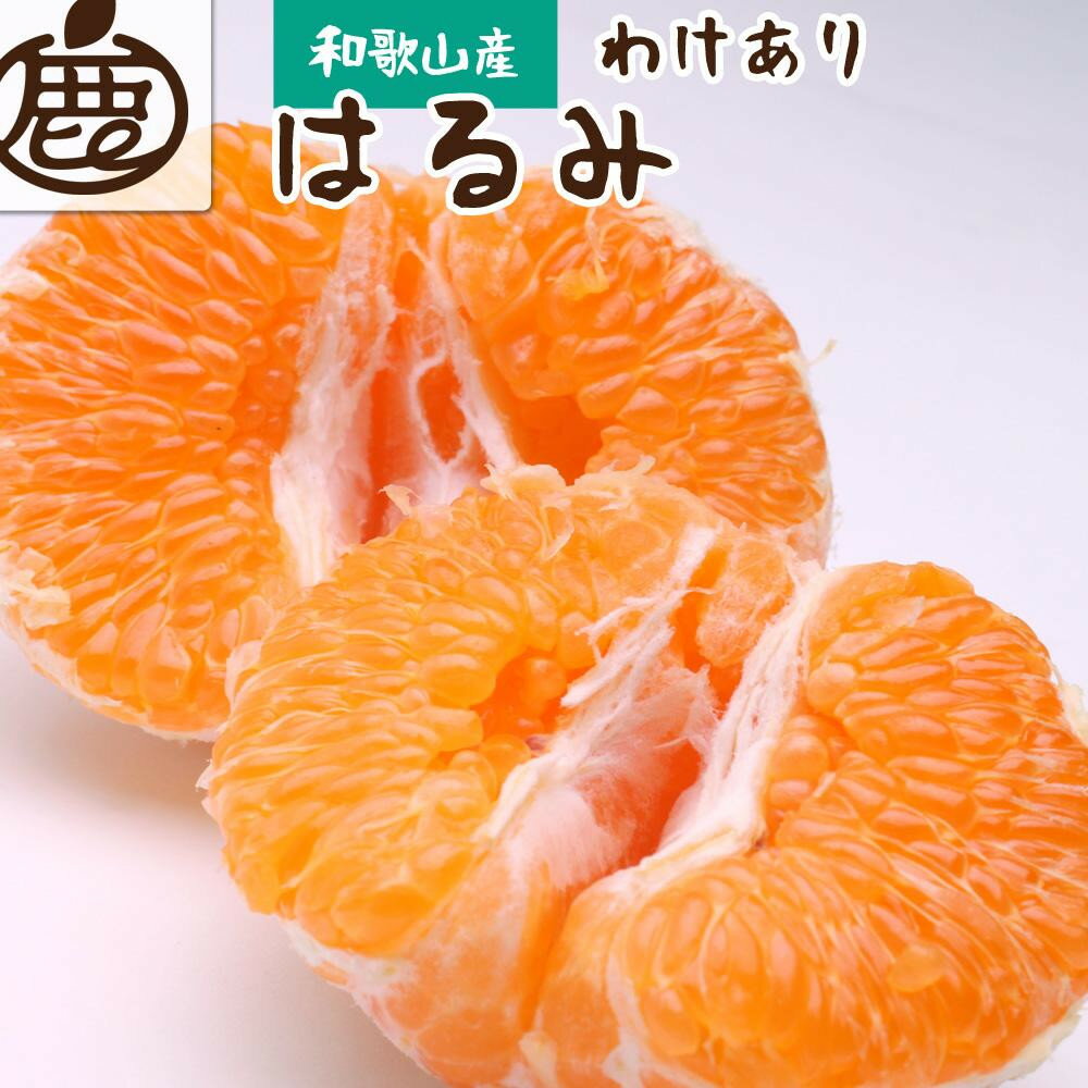 【選べる容量】先行予約家庭用 はるみ 1～10kg+250g（傷み補償分）［デコポンの姉妹品種・新食感春みかん］［光センサー選別］［わけあり・訳あり］［IKE92］ | 柑橘 フルーツ 果物 くだもの 食品 人気 おすすめ 送料無料