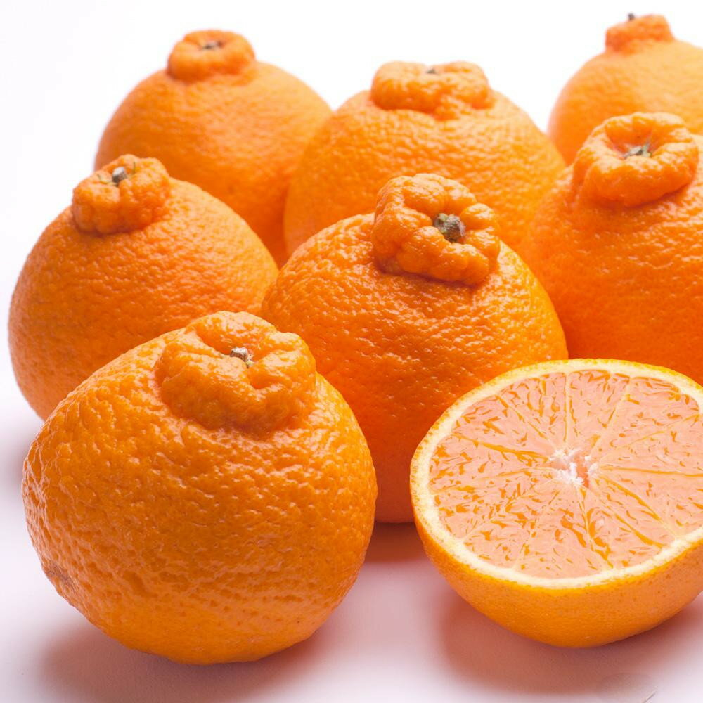 【ふるさと納税】【選べる容量】先行予約厳選 不知火 1～10kg+250g（傷み補償分）［デコポンと同品種・人気の春みかん］［IKE253］ | 和歌山県 和歌山 楽天ふるさと 納税 みかん ミカン 蜜柑 柑橘 柑橘類 かんきつ 果物 くだもの フルーツ 旬の果物 食品 果実 サムネイル2