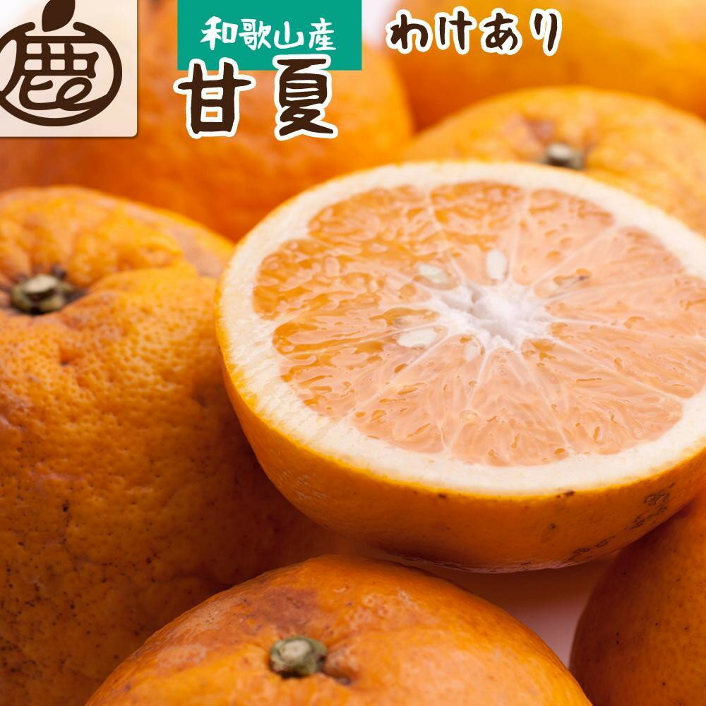 【選べる容量】［先行予約］ 家庭用 甘夏柑 2.5～10kg+250g（傷み補償分）［初夏のみかん・旬の果物］［有田産］［光センサー食べ頃出荷］［わけあり・訳あり］［IKE75］ | フルーツ 果物 くだもの 食品 人気 おすすめ 送料無料