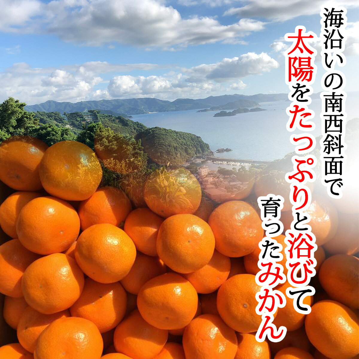 【ふるさと納税】【限定】【2025年先行予約】 有田みかん 5kg サムネイル2