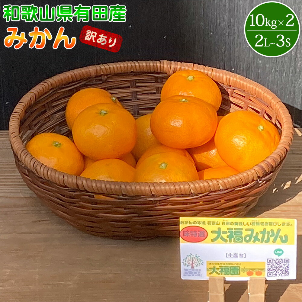 【2025年先行予約】和歌山県有田産 みかん 10kg×2箱 2L～3Sサイズ（おまかせ） 【訳あり・家庭用】【みかん ミカン 蜜柑 柑橘 温州みかん 和歌山 有田みかん】