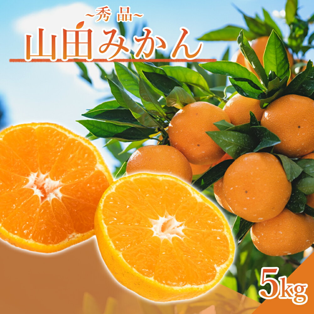 【限定】 山田みかん 秀品 5kg S M Lサイズ いずれか おまかせ 山田出荷組合 選別 手作業 手選別 名産 山田地区 有田みかん 温州みかん 濃厚 甘味 みかん 柑橘 果実 食品 食べ物 国産 和歌山 湯浅町 送料無料