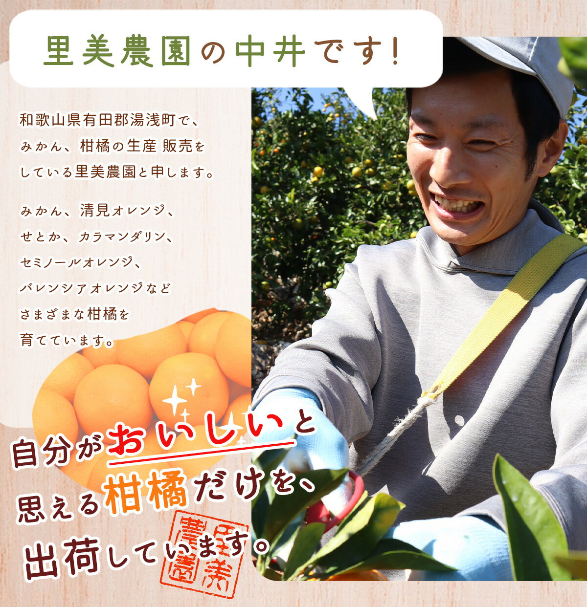 【ふるさと納税】【2025年先行予約】有田みかん 1kg SS ～ 2L サイズ混合 訳あり 有田 みかん フルーツ 果物 果実 柑橘 甘い 国産 食品 食べ物 農家直送 お取り寄せ 里美農園 和歌山県 湯浅町 送料無料 サムネイル3