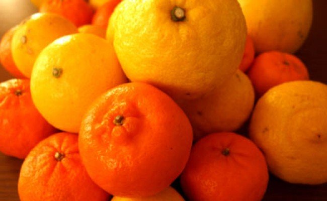 【ふるさと納税】【限定】【2026年先行予約】 春のかんきつ詰め合わせセット 9kg 【ミカン 蜜柑 柑橘 和歌山 有田 春みかん】 サムネイル2