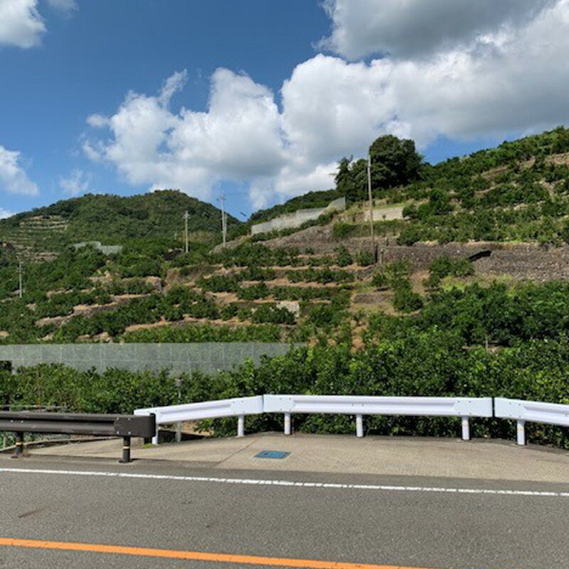 【ふるさと納税】【2025年先行予約】【数量限定】 訳あり 有田みかん 2S ～ Lサイズ 混合 選べる 内容量 5kg 10kg 【ミカン 蜜柑 柑橘 温州みかん 有田みかん 和歌山】 サムネイル3