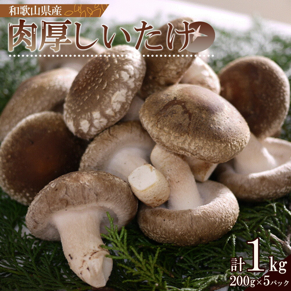 最高級 肉厚椎茸 清流椎茸 1kg (200g×5パック)【しいたけ シイタケ 椎茸 生椎茸 国産 和歌山産】