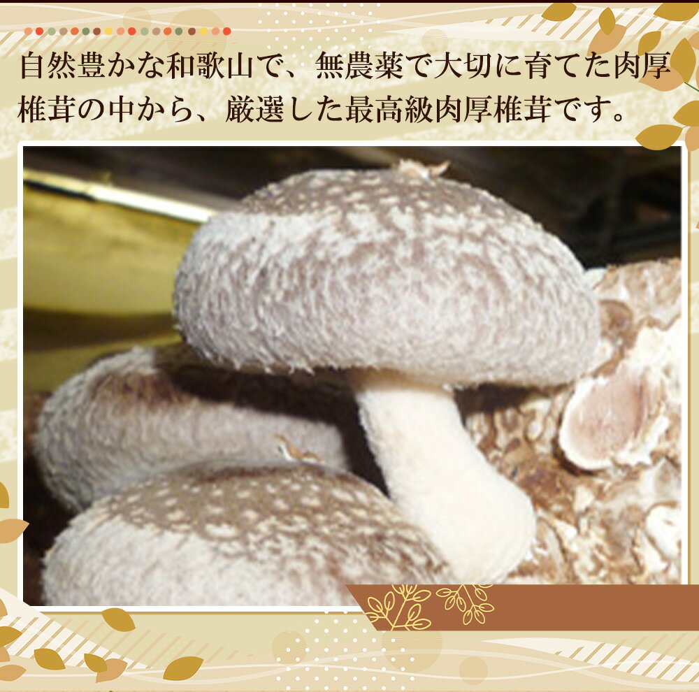 【ふるさと納税】最高級 肉厚椎茸 清流椎茸 1kg (200g×5パック)【しいたけ シイタケ 椎茸 生椎茸 国産 和歌山産】 - 画像2