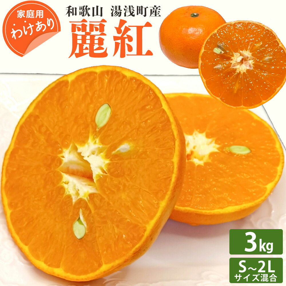 【訳あり 家庭用】【2026年先行予約】和歌山 湯浅町産 麗紅 3kg（S～2Lサイズ混合）＜2026年2月下旬発送＞