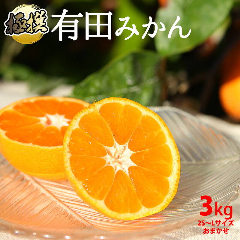【限定】 極撰 有田みかん (地区厳選) 特撰 3kg (2S～L サイズおまかせ)【ミカン 蜜柑 柑橘 温州みかん 和歌山 有田】