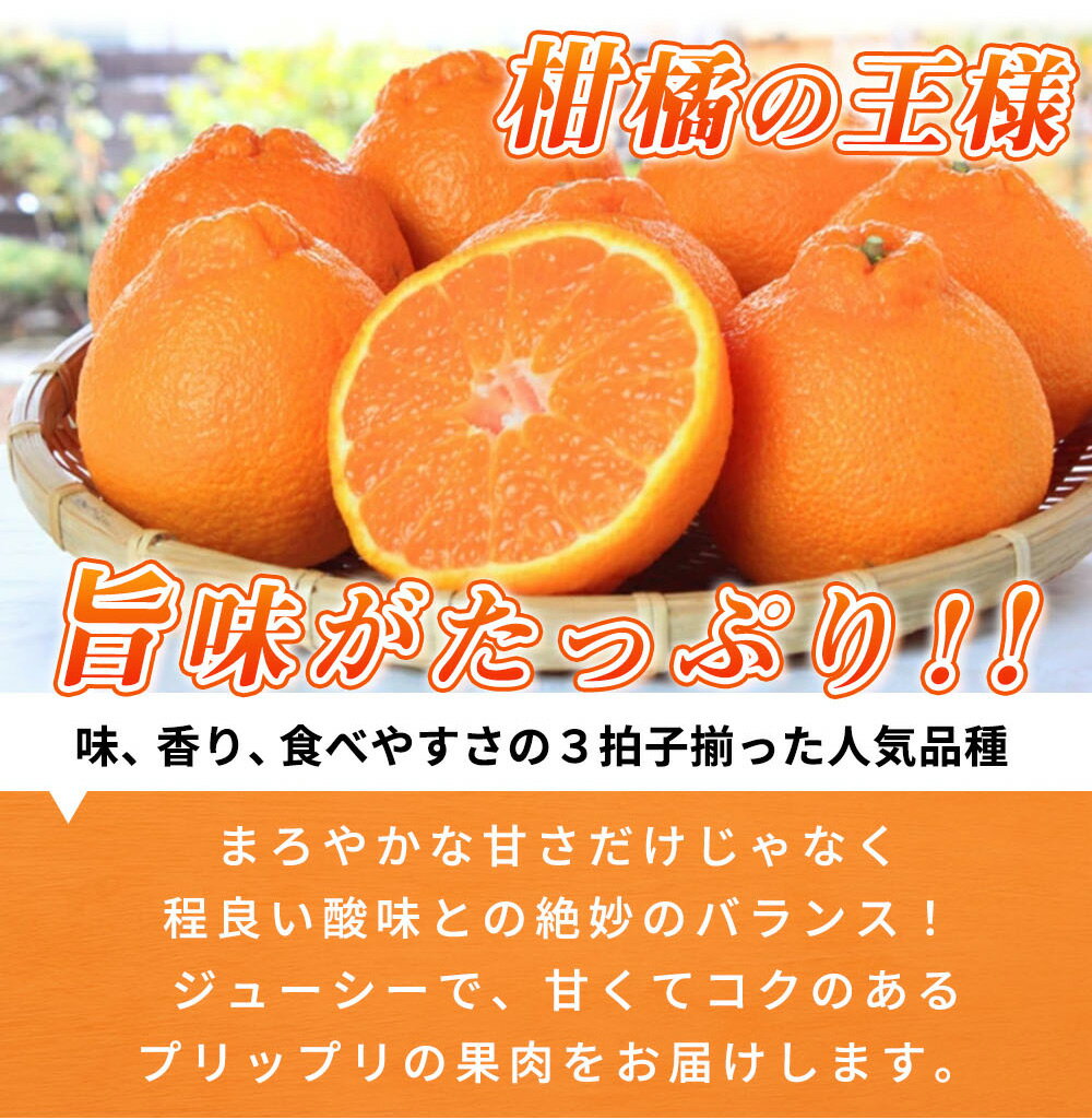【ふるさと納税】【限定】 【2026年先行予約】 デコポン 紀州デコ 3kg 完熟 濃厚 国産 紀州 有田 不知火 柑橘 果物 果実 フルーツ 柑橘の王様 まろやか 甘い ジューシー コク プリプリ 果肉 お取り寄せ 和歌山県 湯浅町 送料無料 サムネイル3
