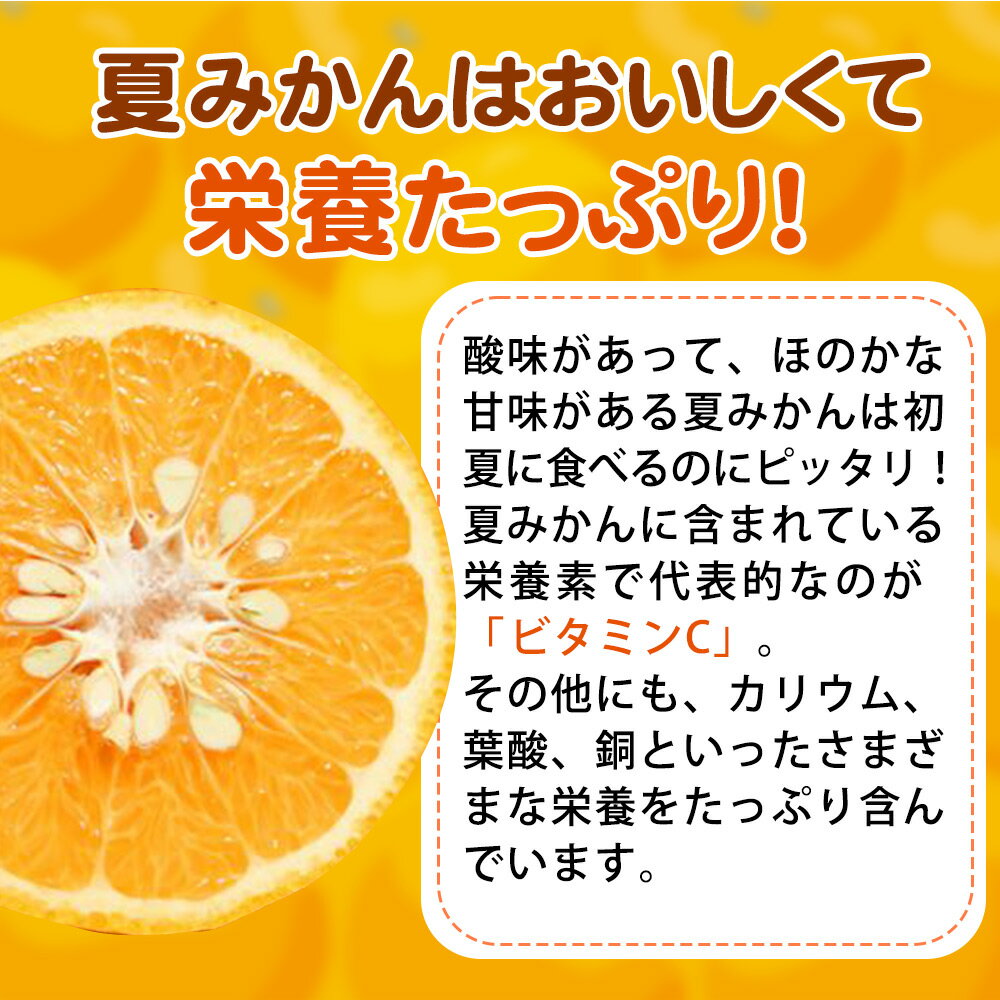 【ふるさと納税】【限定】【2026年先行予約】湯浅産 夏みかん 7.2kg【ミカン 蜜柑 夏ミカン 柑橘 和歌山 有田】 サムネイル3