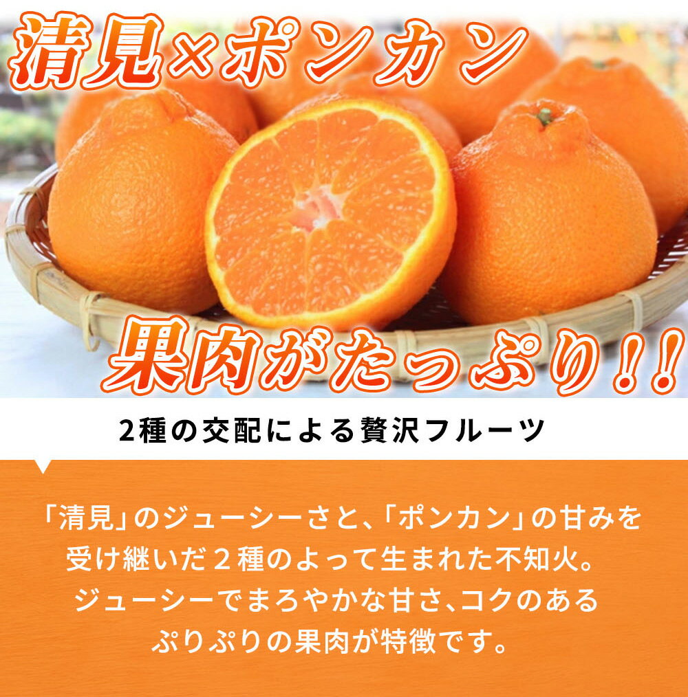 【ふるさと納税】【限定】 【2026年先行予約】 不知火 5kg デコポン 柑橘の王様 甘い プリプリ ジューシー 濃厚 フルーツ 果実 果物 柑橘 紀州有田産 国産 食品 食べ物 お取り寄せ 魚鶴商店 和歌山県 湯浅町 送料無料 サムネイル3