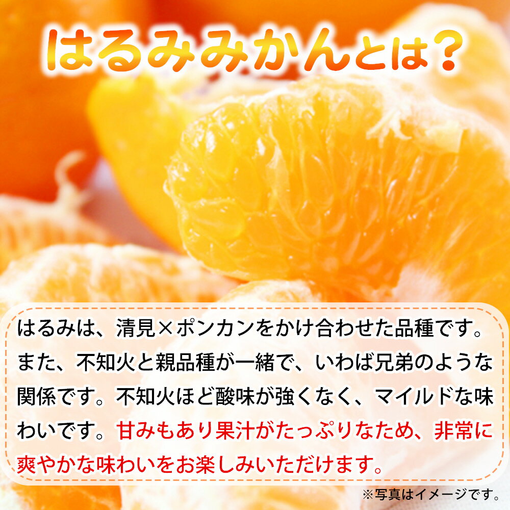 【ふるさと納税】【限定】 果肉ぷりぷり！完熟 はるみ 5kg【ミカン 蜜柑 春みかん 柑橘 和歌山 有田 春見】 サムネイル2