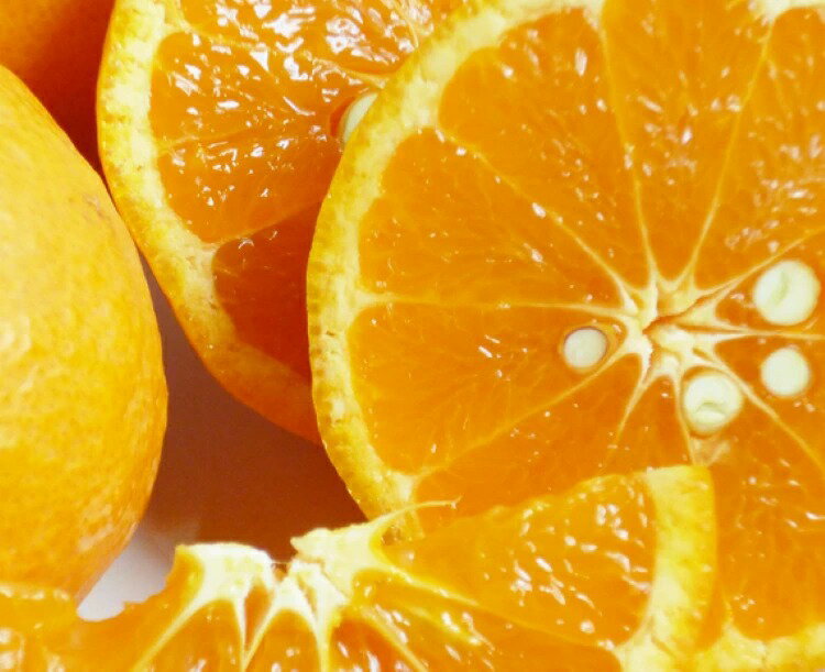 【ふるさと納税】【限定】【2026年先行予約】 初夏のみかん なつみ 7.5kg【家庭用 訳あり】【ミカン 蜜柑 柑橘 和歌山 有田 南津海】 サムネイル2