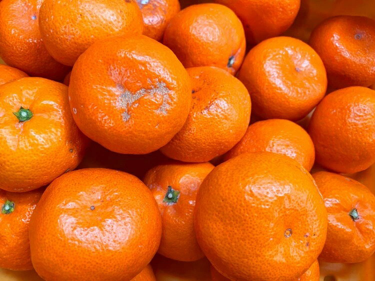 【ふるさと納税】【限定】【2026年先行予約】 初夏のみかん なつみ 7.5kg【家庭用 訳あり】【ミカン 蜜柑 柑橘 和歌山 有田 南津海】 サムネイル3