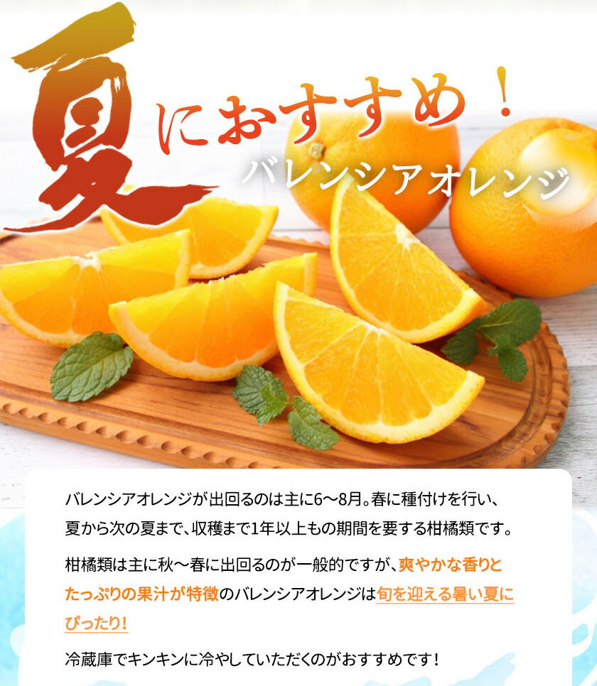 【ふるさと納税】【限定】 バレンシアオレンジ 5kg 希少 国産 秀品 果汁 豊富 糖度 高い 甘い 爽快感 香り 酸味 味わい スッキリ 栄養補給 オレンジ 柑橘 果物 果実 フルーツ 食品 食べ物 ジュース デザート お取り寄せ お取り寄せフルーツ 和歌山県 湯浅町 送料無料 サムネイル3