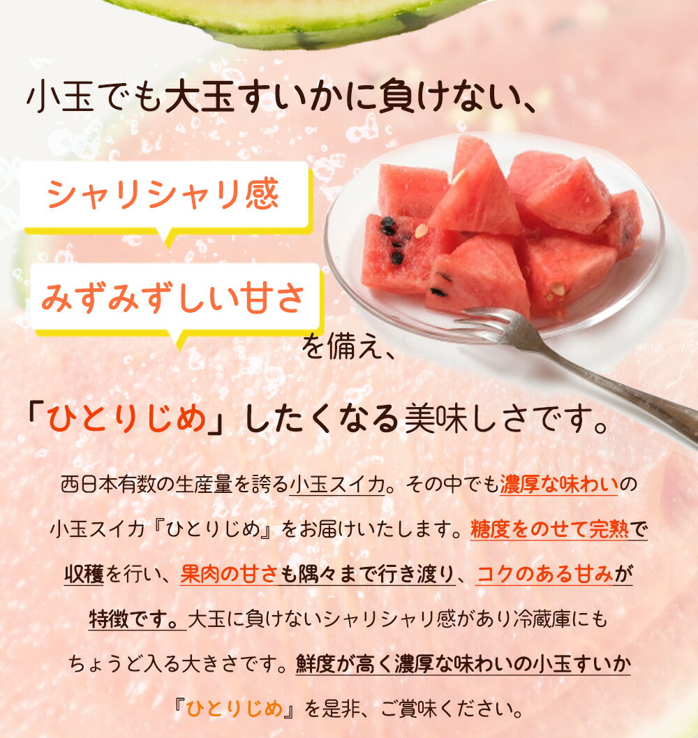 【ふるさと納税】【2026年 先行予約】紀州 和歌山産 小玉 スイカ 「ひとりじめ」 2玉【すいか スイカ 西瓜 小玉】 サムネイル3