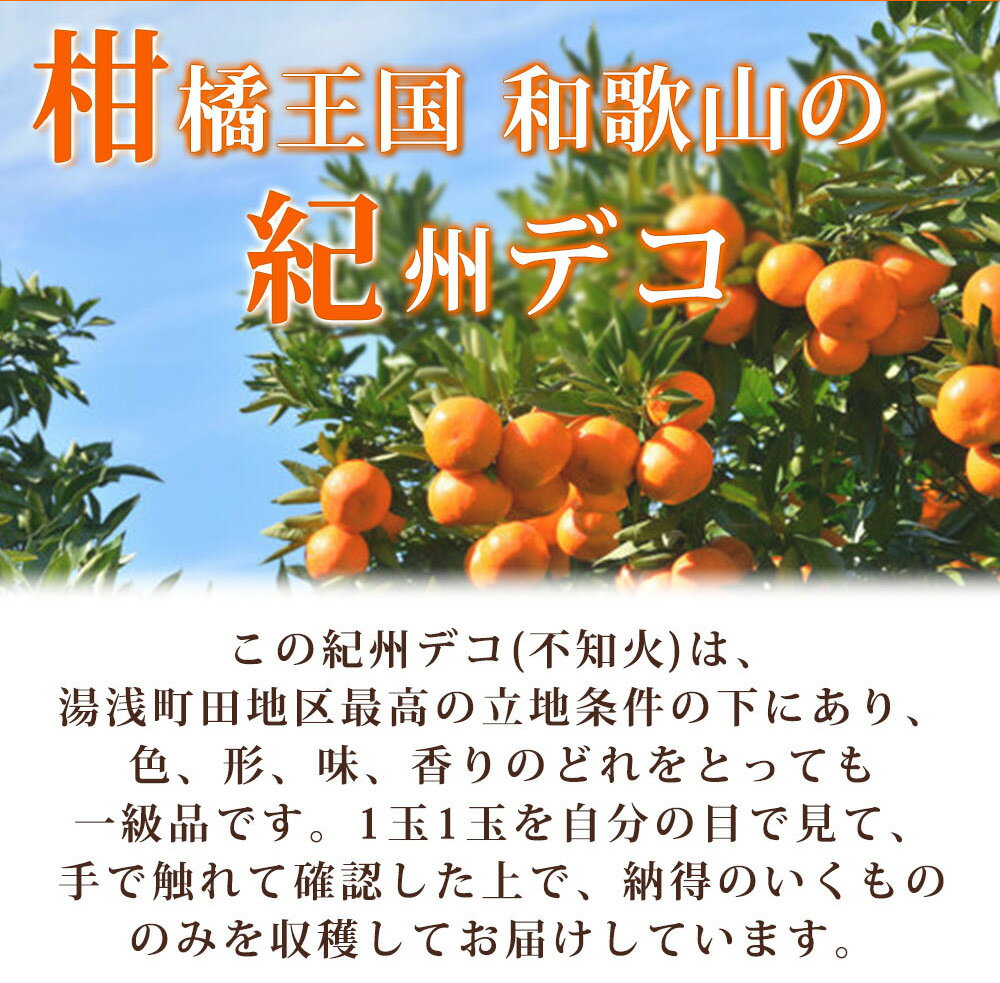 【ふるさと納税】【限定】【2026年先行予約】 期間限定 紀州デコ 約 5kg 完熟 不知火 人気品種 柑橘の王様 紀州 有田産 一級品 甘み プリプリ 果肉 まろやか ほどよい 酸味 ジューシー フルーツ 柑橘 果物 果実 国産 食品 産地直送 和歌山県 湯浅町 送料無料 サムネイル2