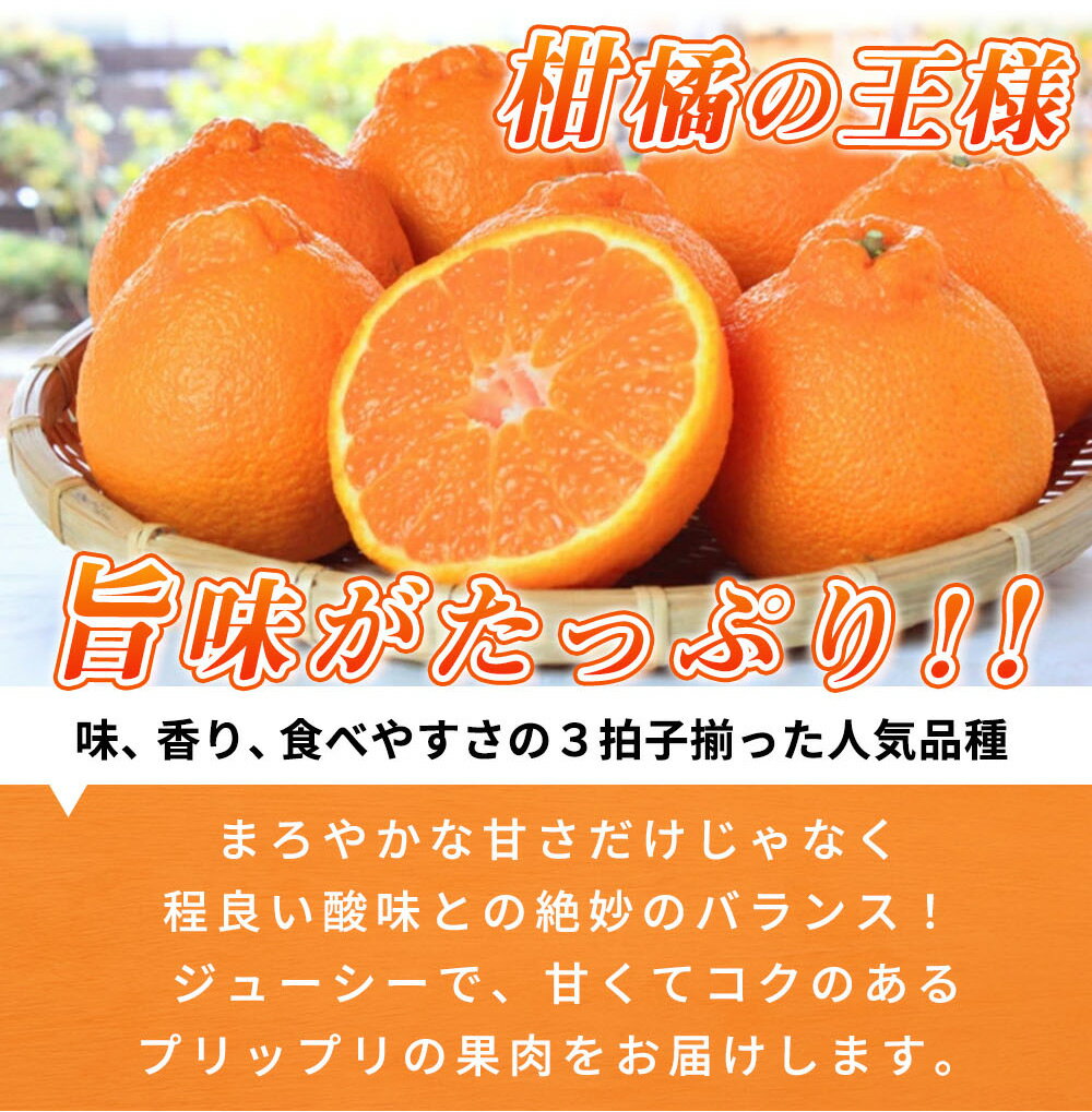 【ふるさと納税】【限定】【2026年先行予約】 期間限定 紀州デコ 約 5kg 完熟 不知火 人気品種 柑橘の王様 紀州 有田産 一級品 甘み プリプリ 果肉 まろやか ほどよい 酸味 ジューシー フルーツ 柑橘 果物 果実 国産 食品 産地直送 和歌山県 湯浅町 送料無料 サムネイル3