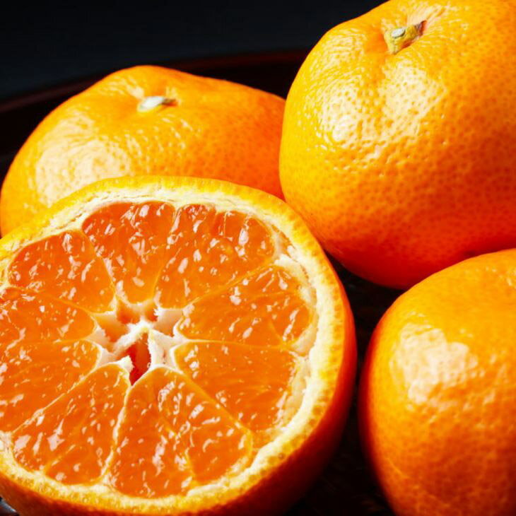 【ふるさと納税】【高糖系】【2026年先行予約】 貯蔵越冬 丹生系 みかん 5kg (S～Lサイズおまかせ) 【ミカン 蜜柑 柑橘 温州みかん 丹生温州】 サムネイル3