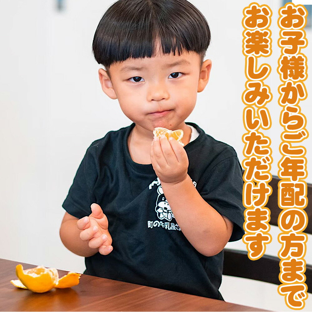 【ふるさと納税】【限定】【2026年先行予約】和歌山県産 有田の 清見 3kg化粧箱入り Lサイズ サムネイル2