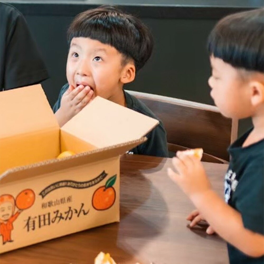 【ふるさと納税】【限定】【2026年先行予約】和歌山県産 有田の 清見 3kg化粧箱入り Lサイズ サムネイル3