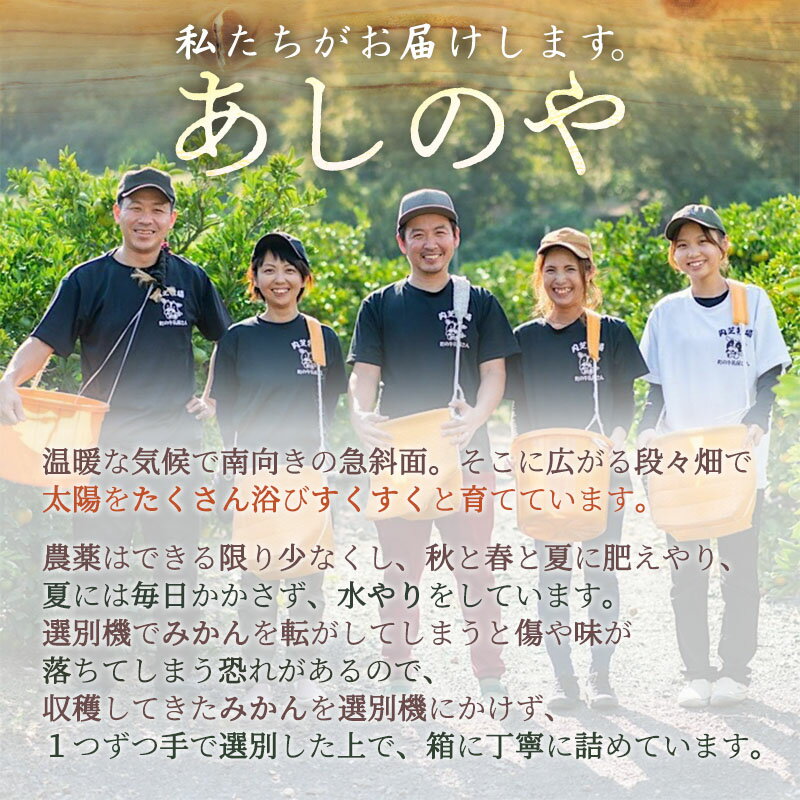 【ふるさと納税】【限定】【2026年先行予約】 清見 オレンジ 訳あり 家庭用 5kg 2S ～ 2L サイズ混合 まごころ手選別 和歌山県産 有田 温州みかん スイートオレンジ 中間 柔らかい 果汁 ビタミン 食物繊維 バランス 柑橘 果物 フルーツ お取り寄せ 和歌山県 湯浅町 送料無料 サムネイル3
