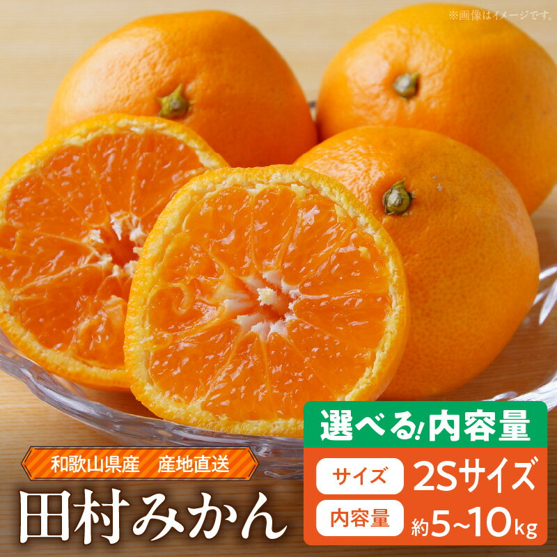 【限定】 【2025年先行予約】 和歌山 湯浅町産 田村みかん 選べる 容量 5kg 10kg 2Sサイズ ミカン 蜜柑 柑橘 温州みかん 有田みかん 和歌山 小粒 小玉
